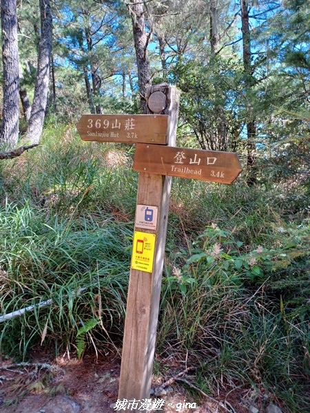 【台中和平】山迢路遠換一回高山好景致。 No75百岳雪山東峰 【台中和平】山迢路遠換一回高山好景致。 No75百岳雪山東峰