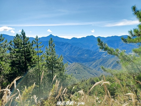 【台中和平】山迢路遠換一回高山好景致。 No75百岳雪山東峰