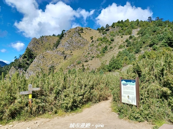 【台中和平】山迢路遠換一回高山好景致。 No75百岳雪山東峰