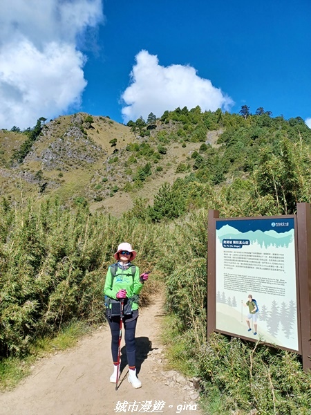 【台中和平】山迢路遠換一回高山好景致。 No75百岳雪山東峰