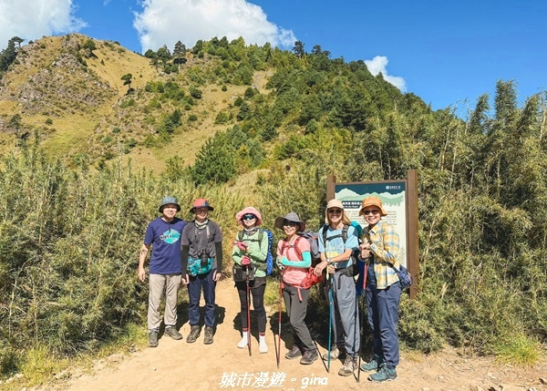 【台中和平】山迢路遠換一回高山好景致。 No75百岳雪山東峰