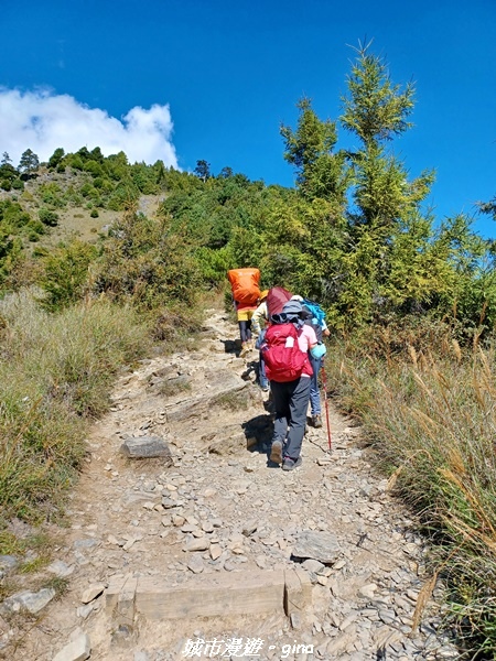 【台中和平】山迢路遠換一回高山好景致。 No75百岳雪山東峰 【台中和平】山迢路遠換一回高山好景致。 No75百岳雪山東峰