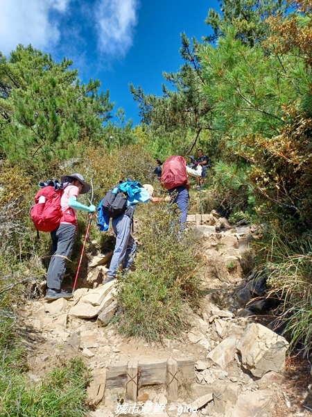 【台中和平】山迢路遠換一回高山好景致。 No75百岳雪山東峰 【台中和平】山迢路遠換一回高山好景致。 No75百岳雪山東峰