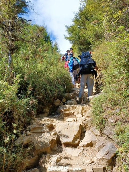 【台中和平】山迢路遠換一回高山好景致。 No75百岳雪山東峰