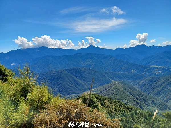 【台中和平】山迢路遠換一回高山好景致。 No75百岳雪山東峰 【台中和平】山迢路遠換一回高山好景致。 No75百岳雪山東峰