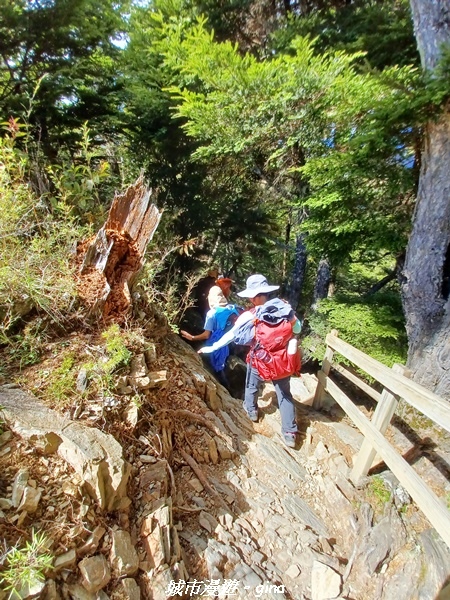 【台中和平】山迢路遠換一回高山好景致。 No75百岳雪山東峰 【台中和平】山迢路遠換一回高山好景致。 No75百岳雪山東峰
