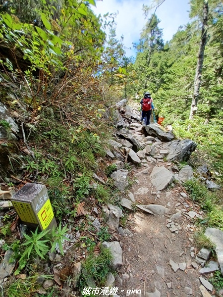 【台中和平】山迢路遠換一回高山好景致。 No75百岳雪山東峰 【台中和平】山迢路遠換一回高山好景致。 No75百岳雪山東峰