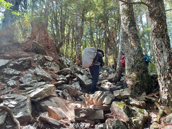 【台中和平】山迢路遠換一回高山好景致。 No75百岳雪山東峰 【台中和平】山迢路遠換一回高山好景致。 No75百岳雪山東峰
