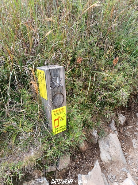 【台中和平】山迢路遠換一回高山好景致。 No75百岳雪山東峰 【台中和平】山迢路遠換一回高山好景致。 No75百岳雪山東峰