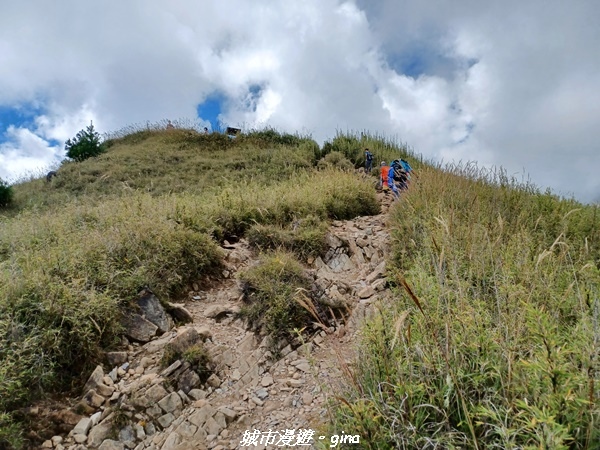【台中和平】山迢路遠換一回高山好景致。 No75百岳雪山東峰 【台中和平】山迢路遠換一回高山好景致。 No75百岳雪山東峰