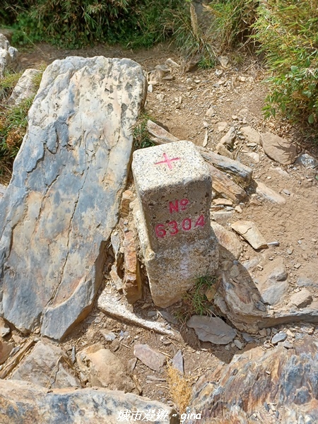 【台中和平】山迢路遠換一回高山好景致。 No75百岳雪山東峰