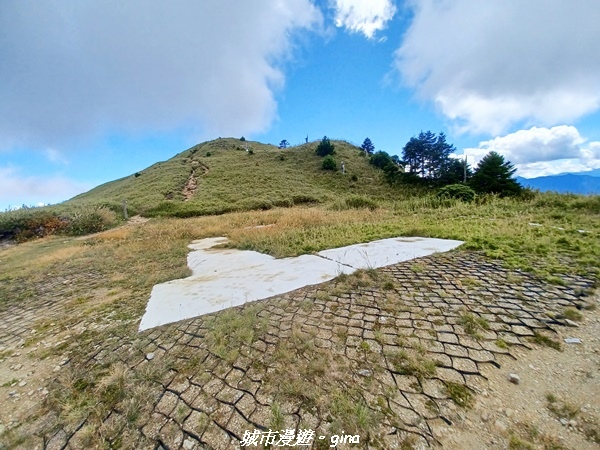 【台中和平】山迢路遠換一回高山好景致。 No75百岳雪山東峰 【台中和平】山迢路遠換一回高山好景致。 No75百岳雪山東峰