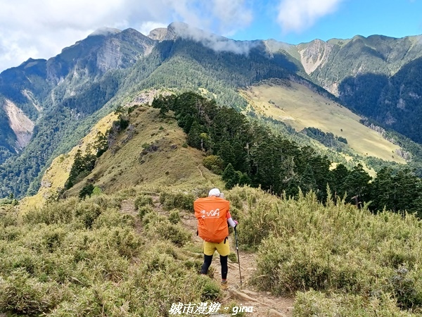 【台中和平】山迢路遠換一回高山好景致。 No75百岳雪山東峰