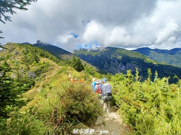 【台中和平】山迢路遠換一回高山好景致。 No75百岳雪山東峰 【台中和平】山迢路遠換一回高山好景致。 No75百岳雪山東峰