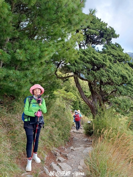 【台中和平】山迢路遠換一回高山好景致。 No75百岳雪山東峰