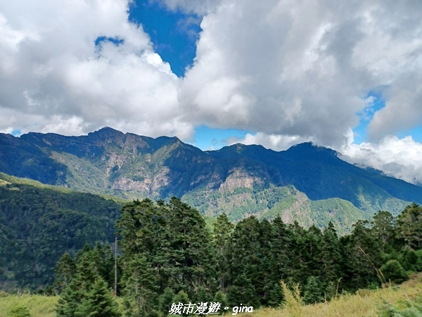 【台中和平】山迢路遠換一回高山好景致。 No75百岳雪山東峰