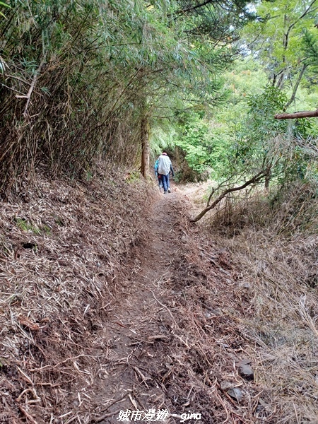 【台中和平】山迢路遠換一回高山好景致。 No75百岳雪山東峰 【台中和平】山迢路遠換一回高山好景致。 No75百岳雪山東峰
