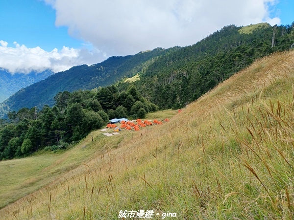 【台中和平】山迢路遠換一回高山好景致。 No75百岳雪山東峰