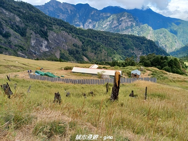 【台中和平】山迢路遠換一回高山好景致。 No75百岳雪山東峰