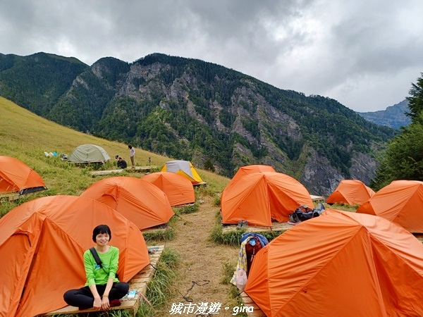 【台中和平】山迢路遠換一回高山好景致。 No75百岳雪山東峰