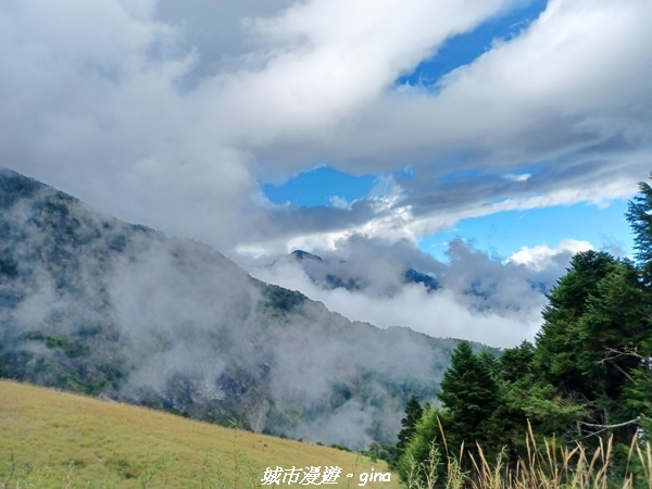 【台中和平】山迢路遠換一回高山好景致。 No75百岳雪山東峰 【台中和平】山迢路遠換一回高山好景致。 No75百岳雪山東峰