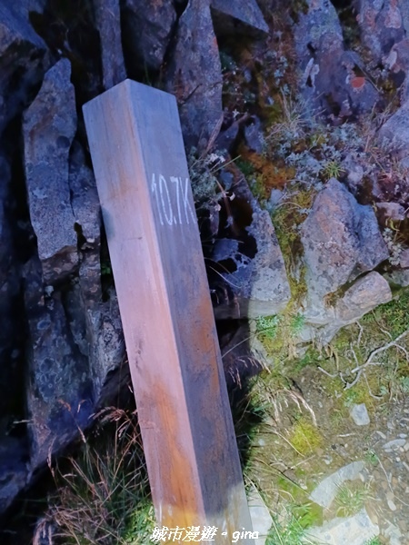 【台中和平】山迢路遠換一回高山好景致。 No75百岳雪山東峰 【台中和平】山迢路遠換一回高山好景致。 No75百岳雪山東峰