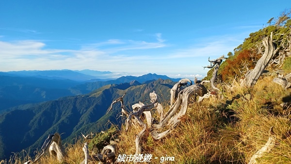 【台中和平】山迢路遠換一回高山好景致。 No75百岳雪山東峰