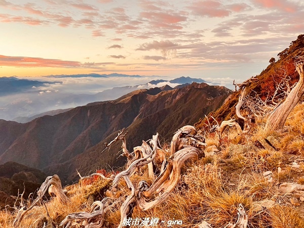 【台中和平】山迢路遠換一回高山好景致。 No75百岳雪山東峰 【台中和平】山迢路遠換一回高山好景致。 No75百岳雪山東峰