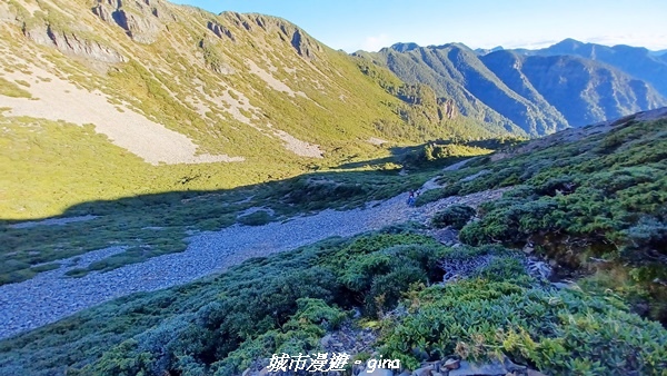 【台中和平】山迢路遠換一回高山好景致。 No75百岳雪山東峰 【台中和平】山迢路遠換一回高山好景致。 No75百岳雪山東峰
