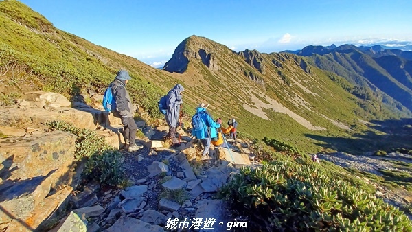 【台中和平】山迢路遠換一回高山好景致。 No75百岳雪山東峰