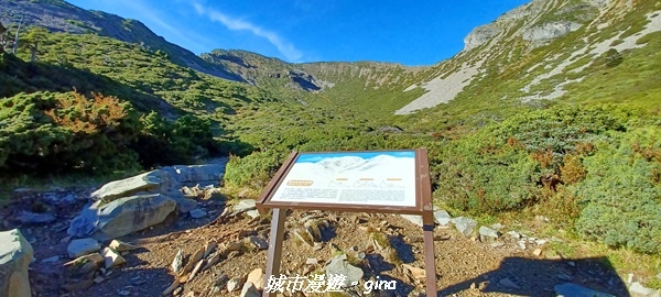 【台中和平】山迢路遠換一回高山好景致。 No75百岳雪山東峰