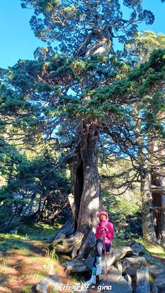 【台中和平】山迢路遠換一回高山好景致。 No75百岳雪山東峰 【台中和平】山迢路遠換一回高山好景致。 No75百岳雪山東峰