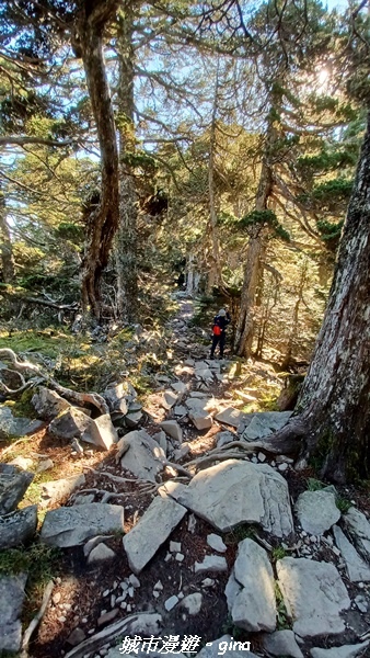 【台中和平】山迢路遠換一回高山好景致。 No75百岳雪山東峰 【台中和平】山迢路遠換一回高山好景致。 No75百岳雪山東峰