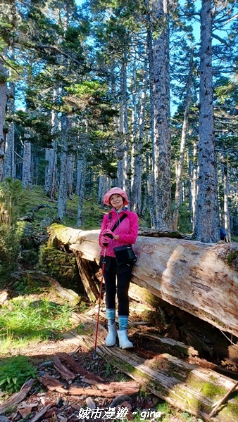 【台中和平】山迢路遠換一回高山好景致。 No75百岳雪山東峰 【台中和平】山迢路遠換一回高山好景致。 No75百岳雪山東峰