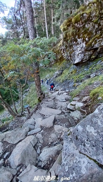 【台中和平】山迢路遠換一回高山好景致。 No75百岳雪山東峰 【台中和平】山迢路遠換一回高山好景致。 No75百岳雪山東峰