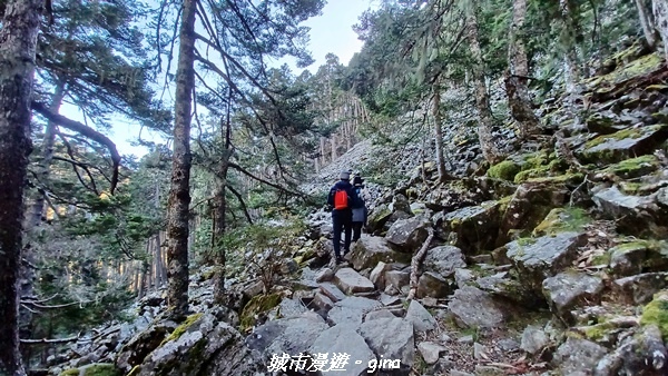 【台中和平】山迢路遠換一回高山好景致。 No75百岳雪山東峰 【台中和平】山迢路遠換一回高山好景致。 No75百岳雪山東峰