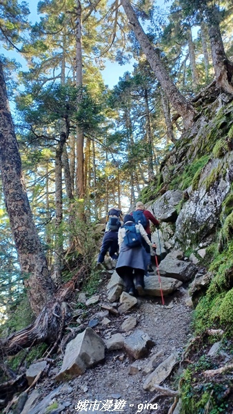 【台中和平】山迢路遠換一回高山好景致。 No75百岳雪山東峰 【台中和平】山迢路遠換一回高山好景致。 No75百岳雪山東峰