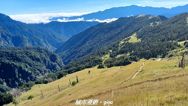 【台中和平】山迢路遠換一回高山好景致。 No75百岳雪山東峰 【台中和平】山迢路遠換一回高山好景致。 No75百岳雪山東峰