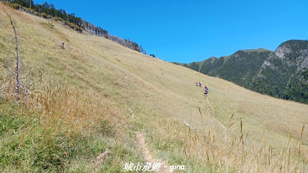 【台中和平】山迢路遠換一回高山好景致。 No75百岳雪山東峰