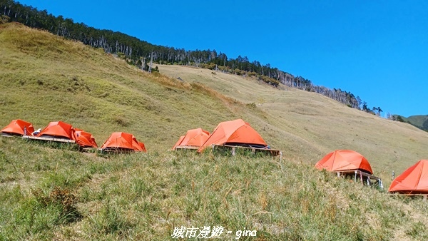 【台中和平】山迢路遠換一回高山好景致。 No75百岳雪山東峰 【台中和平】山迢路遠換一回高山好景致。 No75百岳雪山東峰