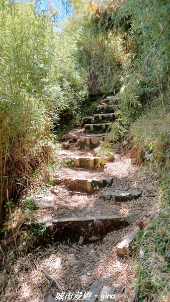 【台中和平】山迢路遠換一回高山好景致。 No75百岳雪山東峰 【台中和平】山迢路遠換一回高山好景致。 No75百岳雪山東峰