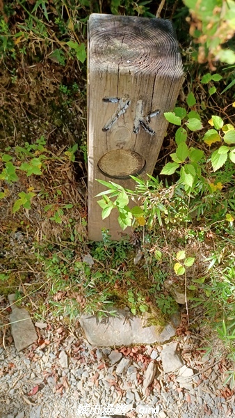 【台中和平】山迢路遠換一回高山好景致。 No75百岳雪山東峰 【台中和平】山迢路遠換一回高山好景致。 No75百岳雪山東峰