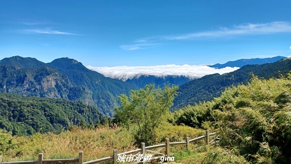 【台中和平】山迢路遠換一回高山好景致。 No75百岳雪山東峰 【台中和平】山迢路遠換一回高山好景致。 No75百岳雪山東峰