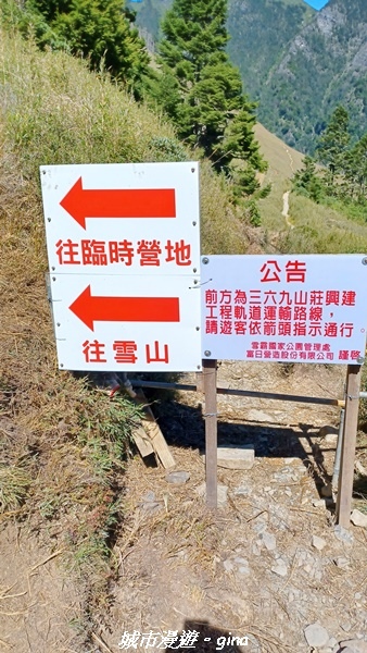 【台中和平】山迢路遠換一回高山好景致。 No75百岳雪山東峰