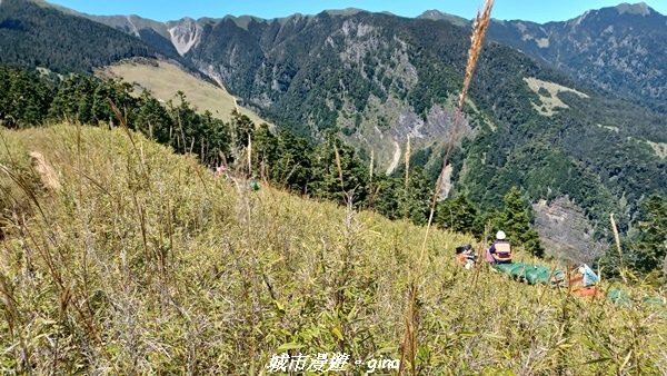 【台中和平】山迢路遠換一回高山好景致。 No75百岳雪山東峰