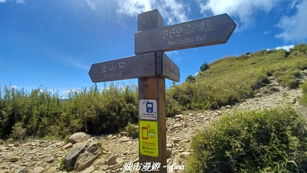 【台中和平】山迢路遠換一回高山好景致。 No75百岳雪山東峰 【台中和平】山迢路遠換一回高山好景致。 No75百岳雪山東峰