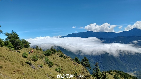 【台中和平】山迢路遠換一回高山好景致。 No75百岳雪山東峰