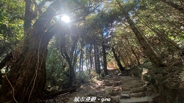 【台中和平】山迢路遠換一回高山好景致。 No75百岳雪山東峰 【台中和平】山迢路遠換一回高山好景致。 No75百岳雪山東峰