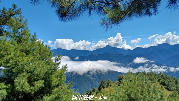 【台中和平】山迢路遠換一回高山好景致。 No75百岳雪山東峰 【台中和平】山迢路遠換一回高山好景致。 No75百岳雪山東峰