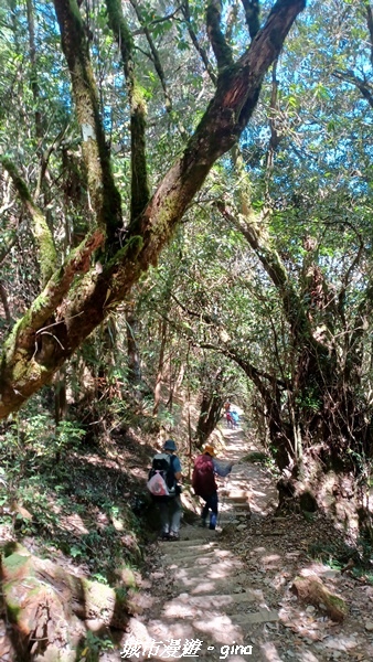 【台中和平】山迢路遠換一回高山好景致。 No75百岳雪山東峰 【台中和平】山迢路遠換一回高山好景致。 No75百岳雪山東峰